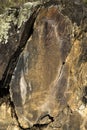 Coa River Ã¢â¬â Prehistoric Rock Engravings